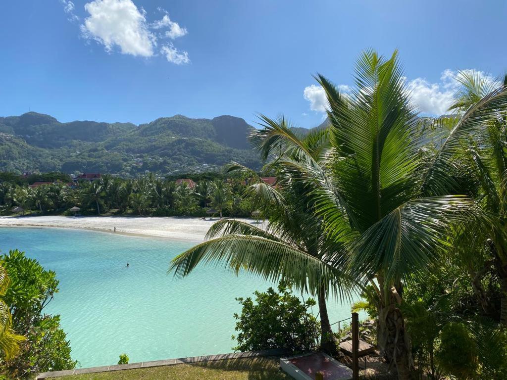 a view of a beach with a palm tree at Maison La Plage by Simply-Seychelles in Eden Island