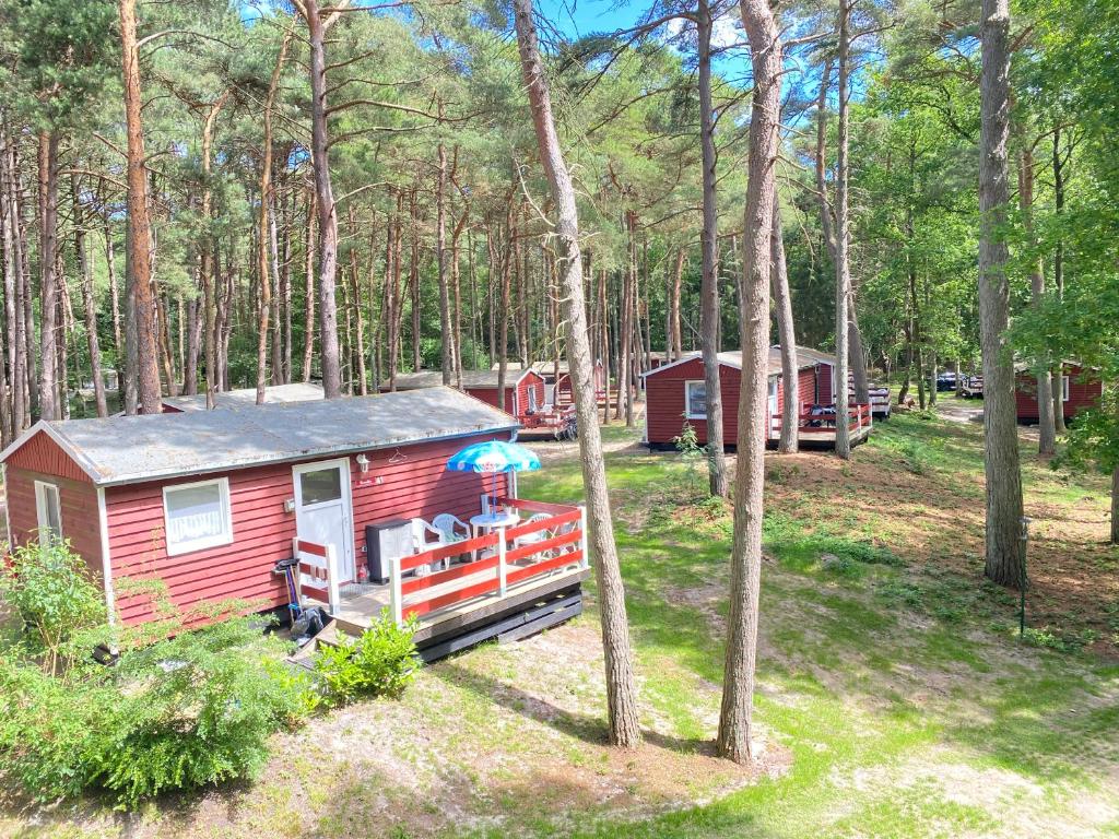uma cabana vermelha no meio de uma floresta em Strandhussiedlung Rügen em Dranske