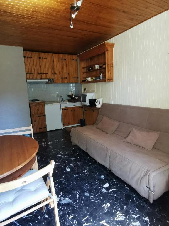 una sala de estar con una cama grande en la cocina en Studio 2p, proche pistes, réduction matériel ski en Chamrousse