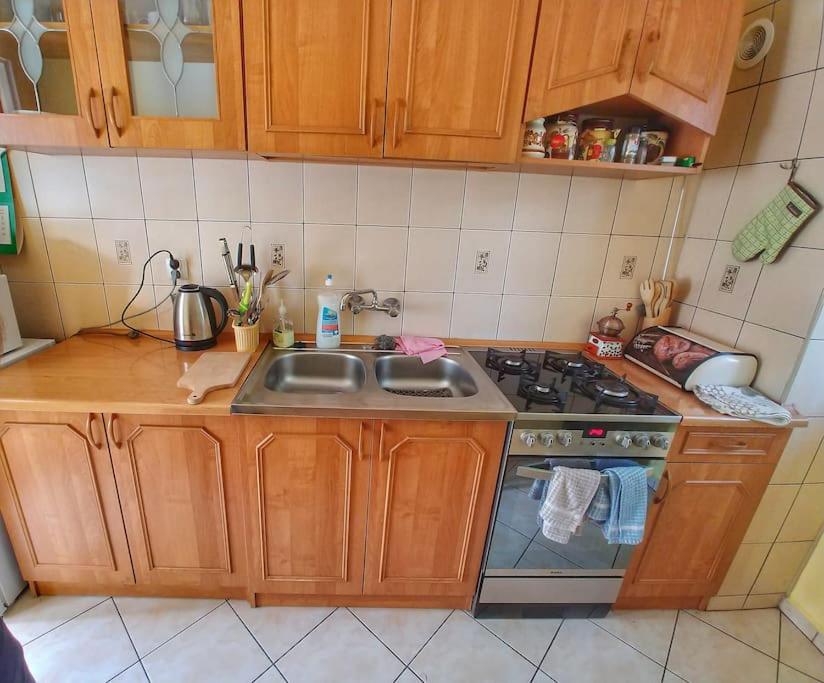 Kuchyňa alebo kuchynka v ubytovaní Domek nad morzem Wisełka