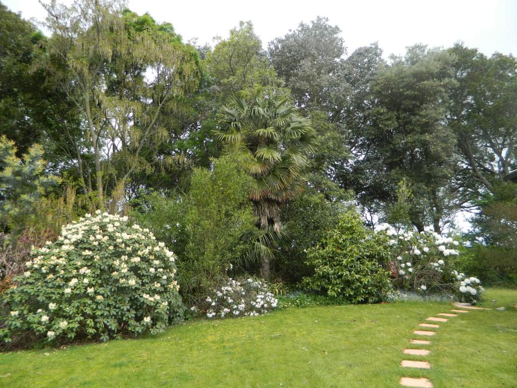 Zahrada ubytování Antares Homestay