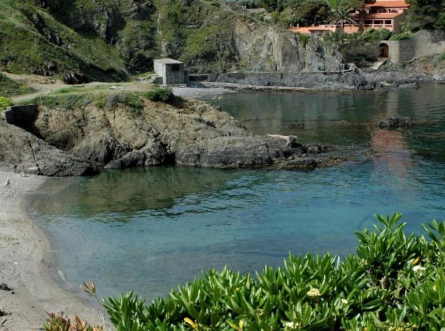 Fotografia z galérie ubytovania Villa du Port v destinácii Port-Vendres