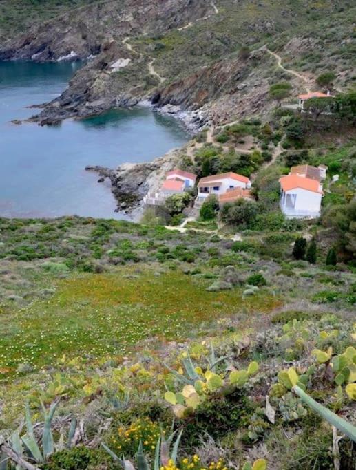 Fotografia z galérie ubytovania Villa du Port v destinácii Port-Vendres