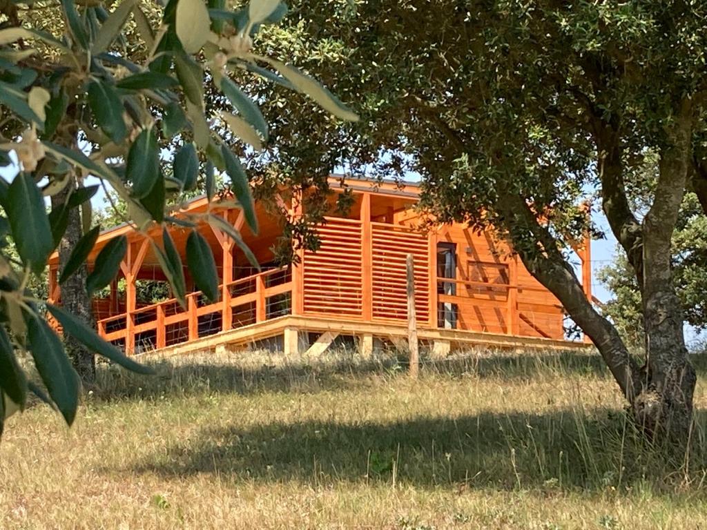 Cabanes Trésors de Campagne,spas privatifs - Superior Chalet