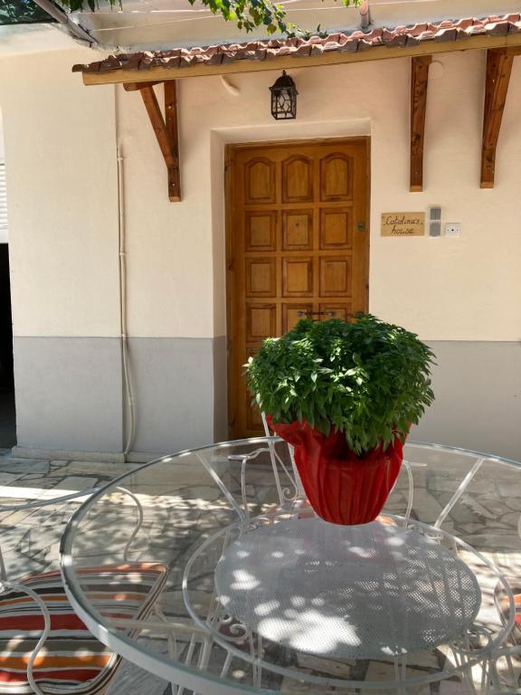 Fotografia z galérie ubytovania Catalina's house -Μικρή εξοχική κατοικία με αυλή & parking v destinácii Xylokastron
