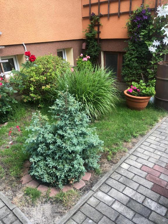 Zahrada ubytování U Basi i Romana