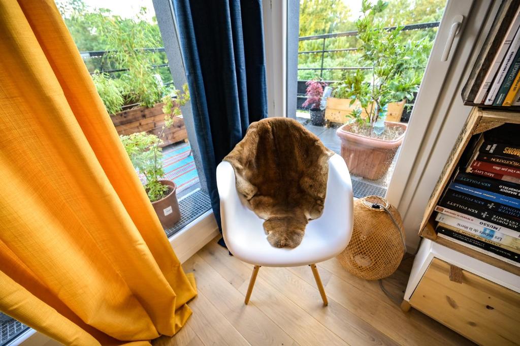 L'Olympique: appartement cosy, vue canal grande terrasse et parking - Appartement Met één Slaapkamer