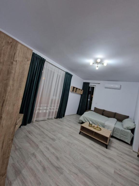 Apartament modern cu o camera