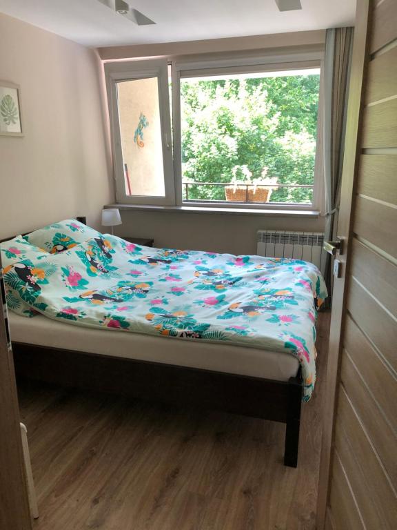 Apartament przy parku - 一居室公寓