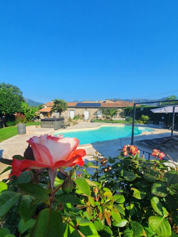 una flor en un arbusto junto a una piscina en La babounette, en Jaujac