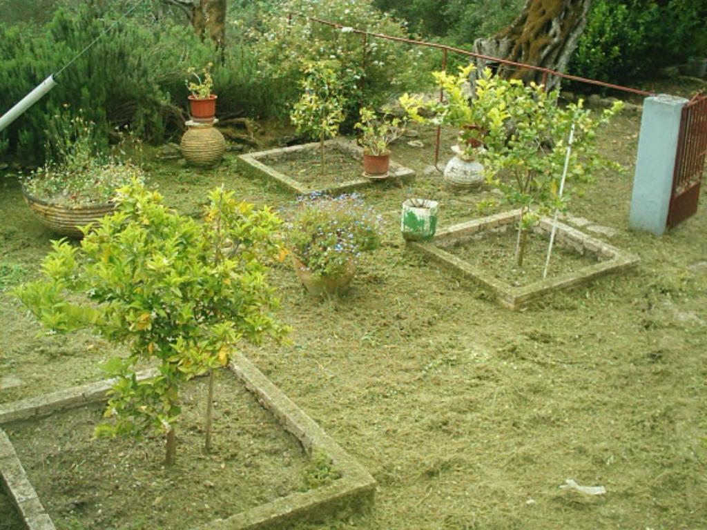 Zahrada ubytování Villa Ermis