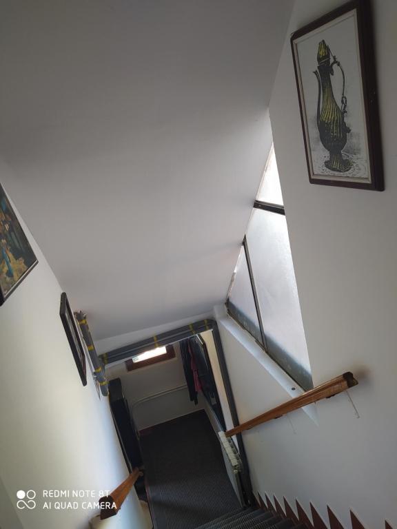 Fotografie z fotogalerie ubytování Apartman Mickey v destinaci Sarajevo