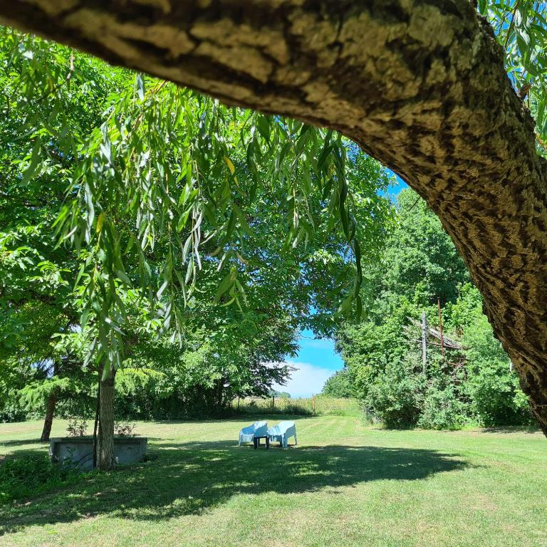 Ogród w obiekcie Le Coq en Repos