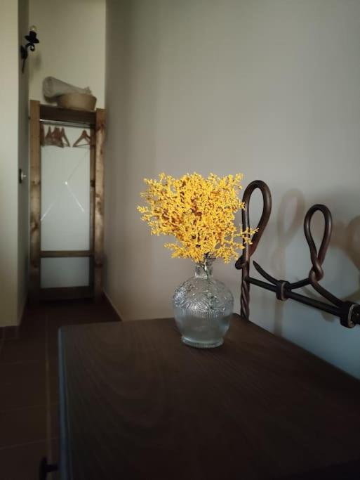 Fotografie z fotogalerie ubytování La casa de la abuela Amalia v destinaci Arenas de San Pedro