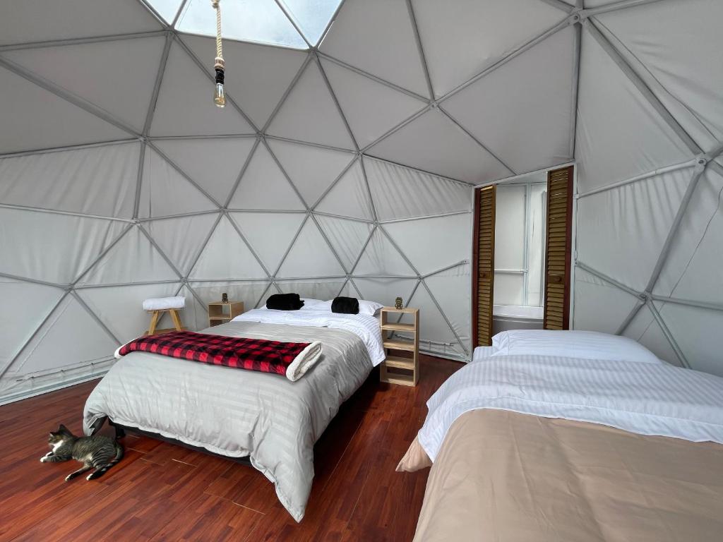 a room with two beds in a tent at Glamping Wayra in Guatavita