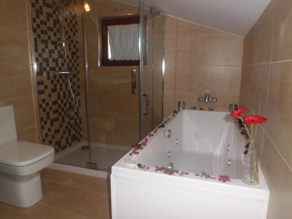 Jacuzzi Apartment Valle de Cepeda Salamanca