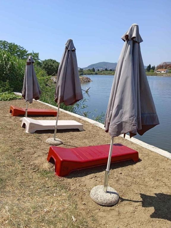 Pokrajina v okolici apartmaja