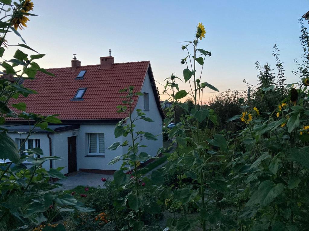 Vonkajšia záhrada v ubytovaní Dom w sercu Gdańska