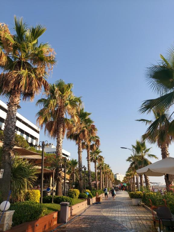 Sunny Home - Imazhi 6