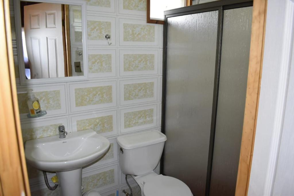 a bathroom with a toilet and a sink at Cabaña Los Maquis in Licán Ray