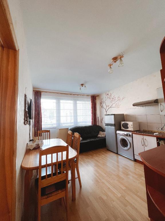 Kuchyň nebo kuchyňský kout v ubytování Apartment Jūros Mėlis