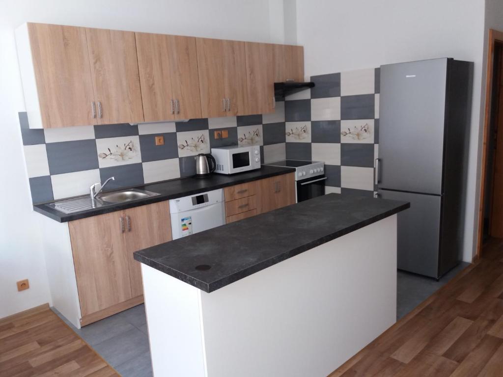 Kuchyň nebo kuchyňský kout v ubytování Apartmány Na Valše