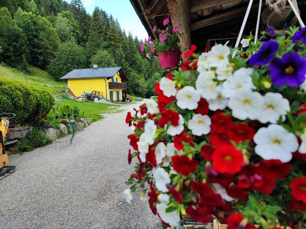 Zahrada ubytování Hochbergerhof