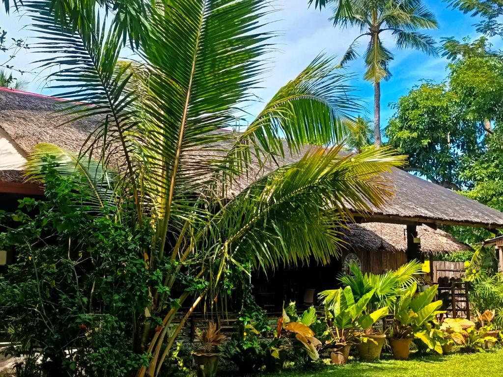 Zahrada ubytování Archery-Asia Nipa Huts Moalboal
