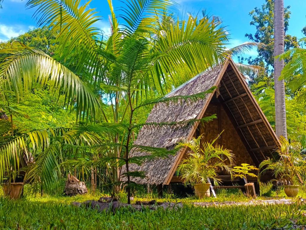 Zahrada ubytování Archery-Asia Nipa Huts Moalboal