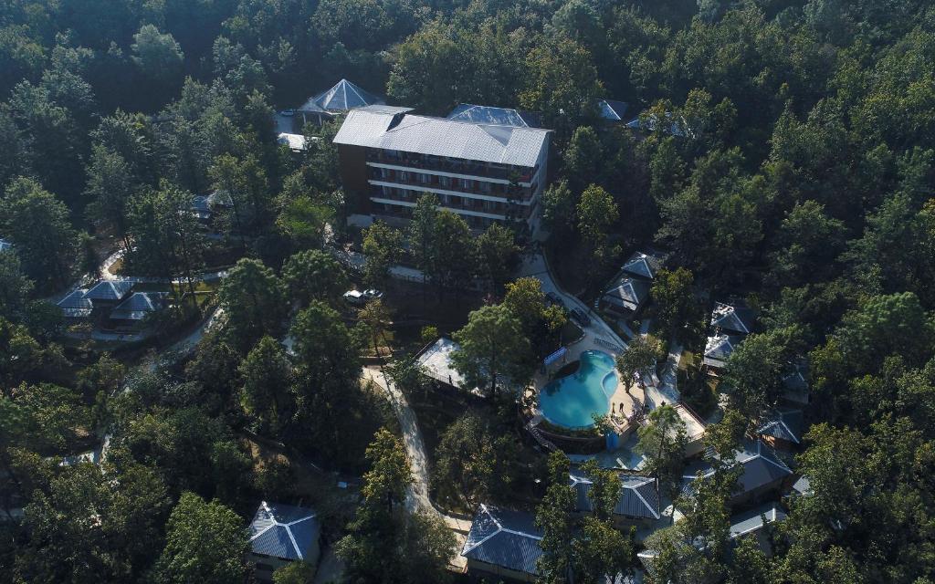 德拉敦的住宿－Punarnava Resort & Spa，森林中建筑物的空中景观
