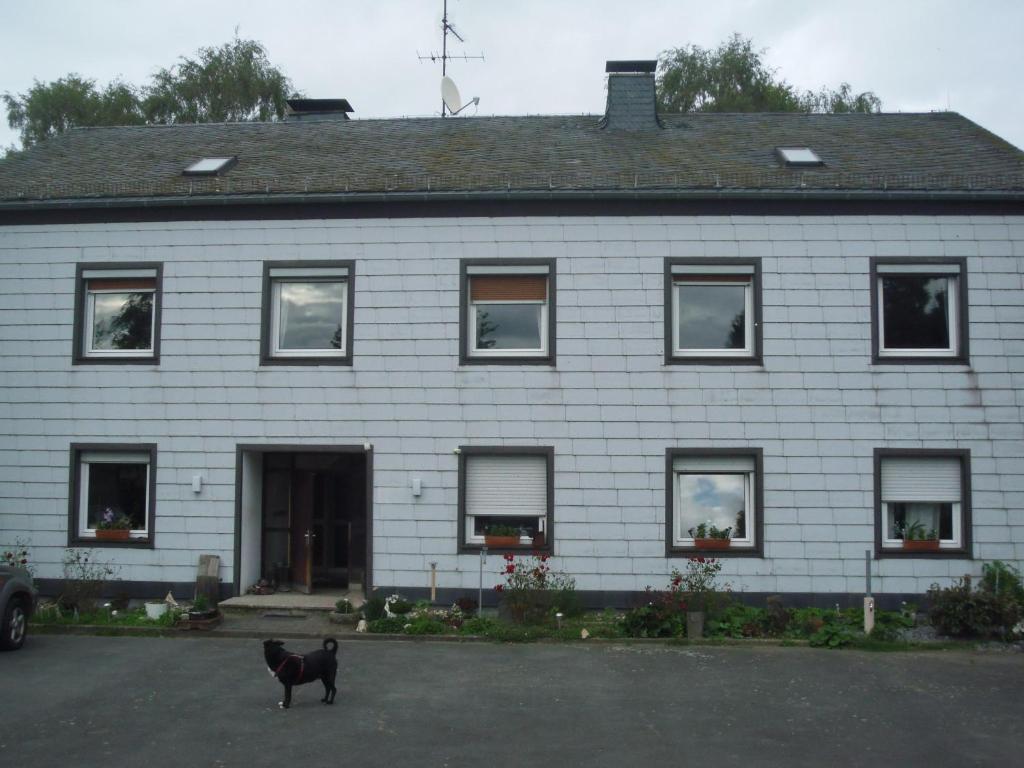 un gato negro parado frente a una casa blanca en Pension Ackermann, en Mayen