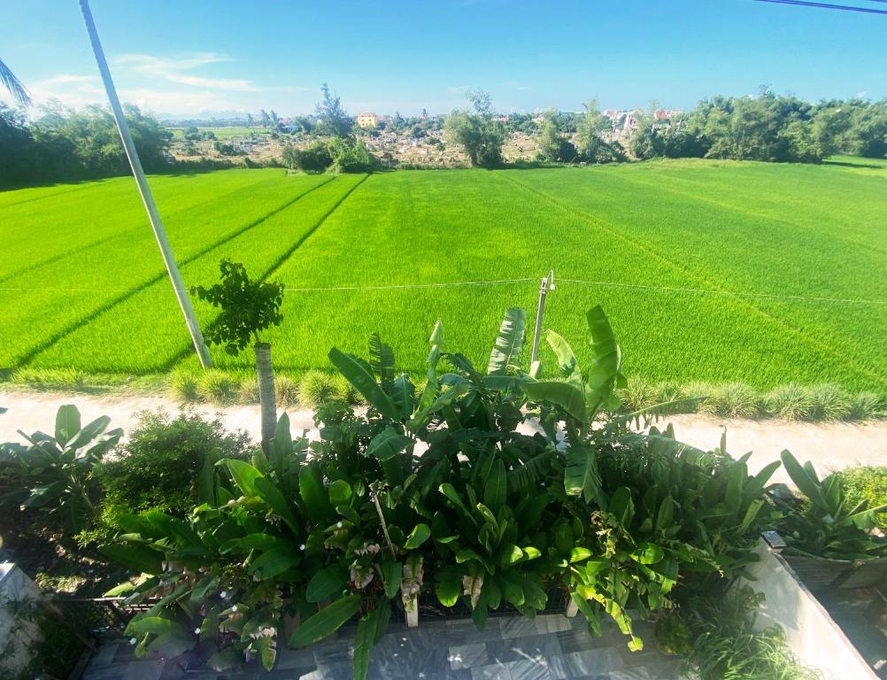 Haemer Villa Green Hearth Stay - 12