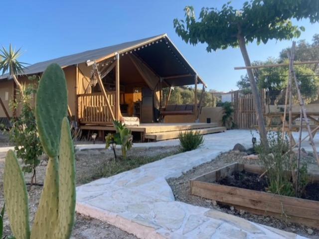 a house with a cactus in front of it at Luxe Safari Lodge Glamping Louloudia in Pitsidia