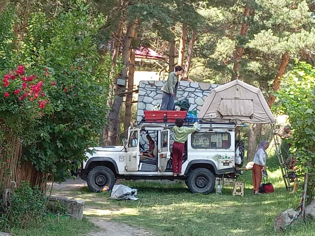 Zahrada ubytování SADA Guesthouse