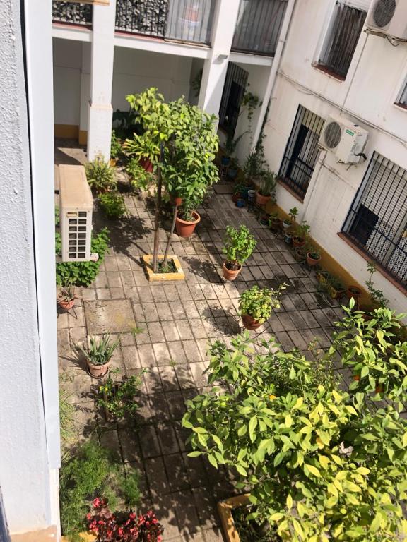 Deluxe Apartment Santa Lucia Square, Seville – Updated 2023 ...