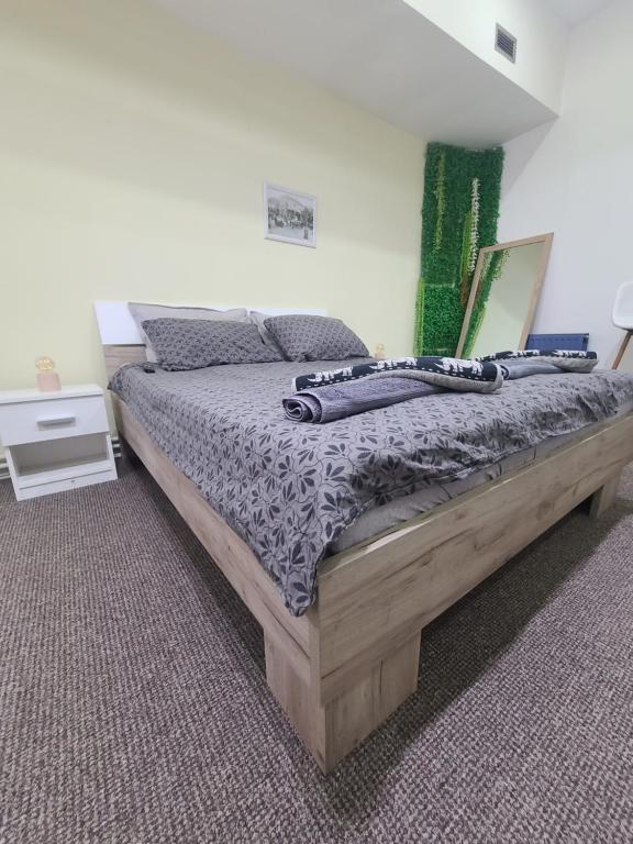 Stari Zaječar apartments - Deluxe Apartment