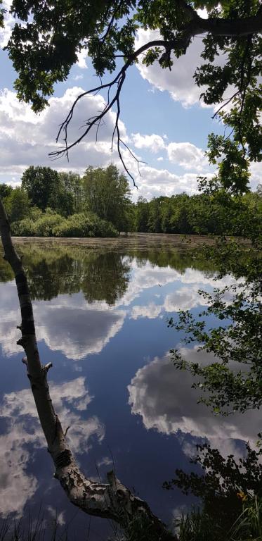 um reflexo do céu num lago em Schwalbennest 