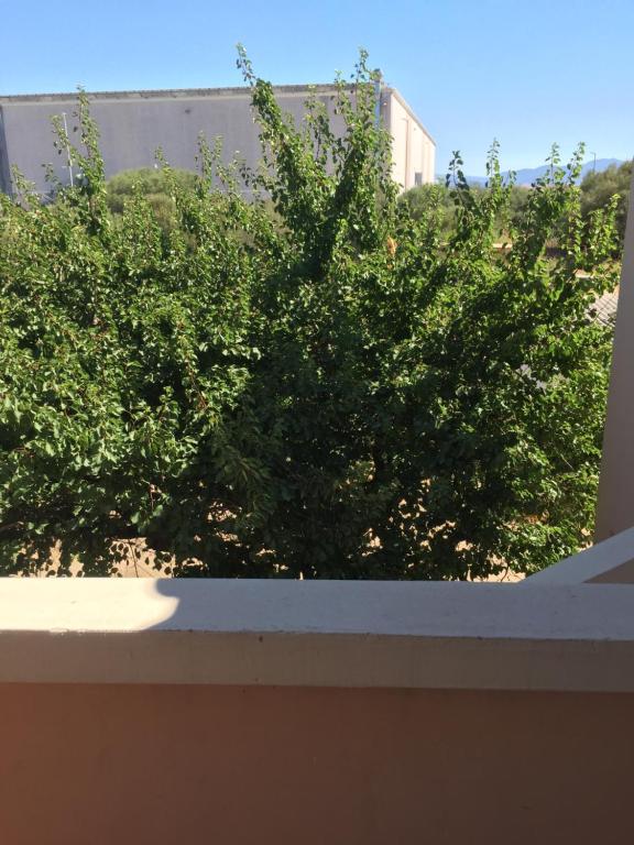 Fotografie z fotogalerie ubytování Sardegna Mer et Soleil in Olbia v destinaci Olbia