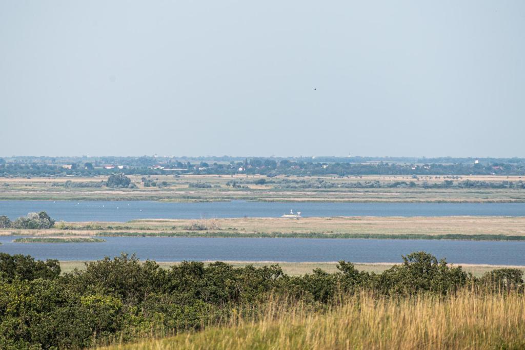 Przyroda w pobliżu tego obiektu B&B