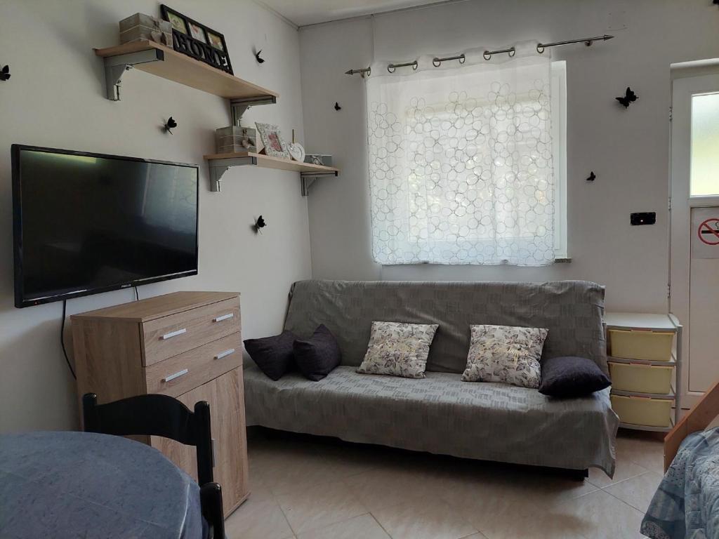 een woonkamer met een bank en een flatscreen-tv bij Apartma Lavanda Istriana in Pobegi