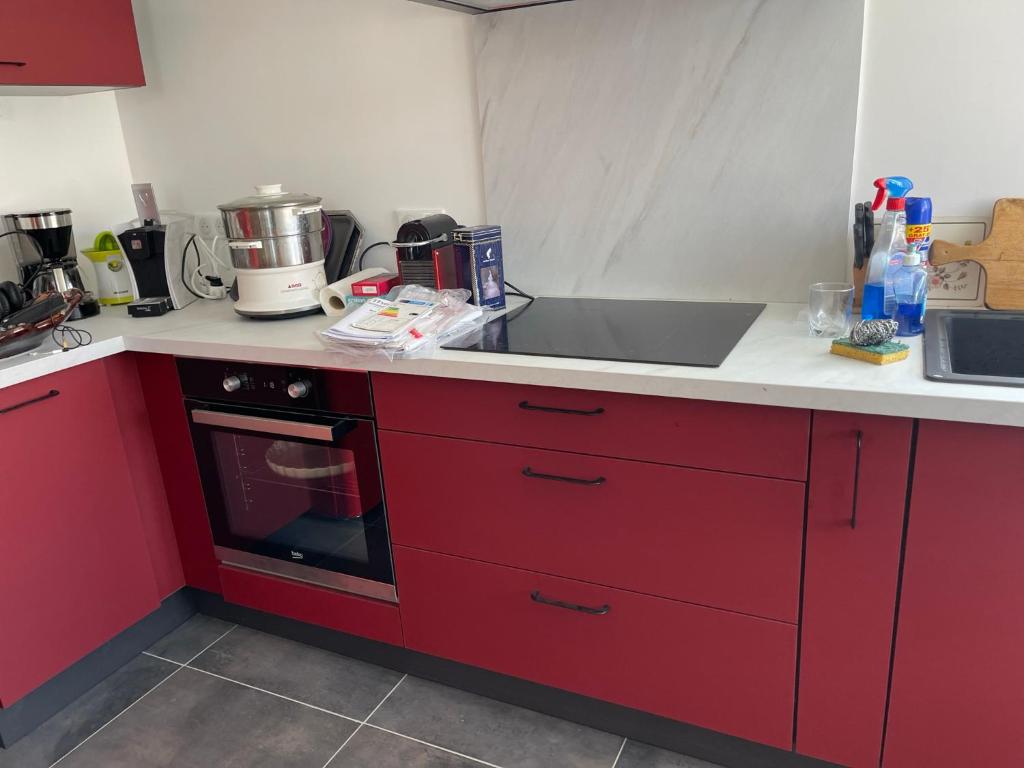 Kuchyňa alebo kuchynka v ubytovaní Appartement dans maison avec cour et parc
