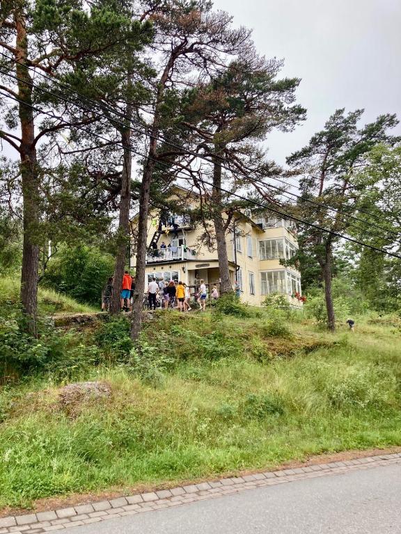 Příroda nedaleko hostelu