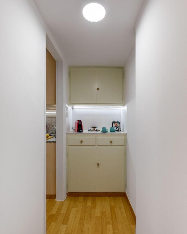 Kuchyňa alebo kuchynka v ubytovaní Luxury Museum Apartment Athena
