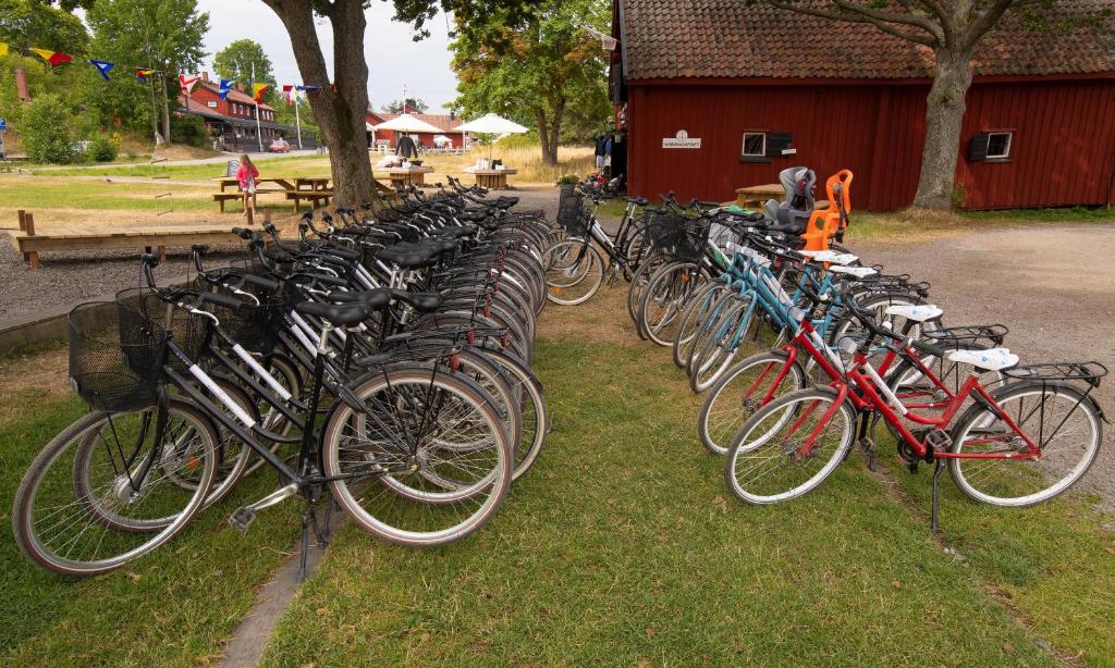 Jízda na kole v ubytování Hostel Utö nebo okolí