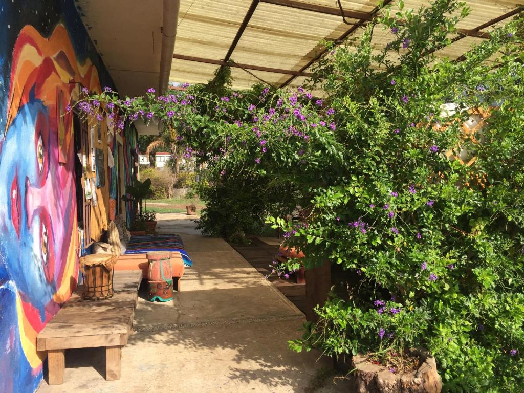Giardino di Ekko Hostel