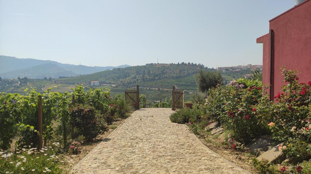 a dirt path through a vineyard with flowers at Quinta dos Padrinhos - Suites in the Heart of the Douro in Lamego