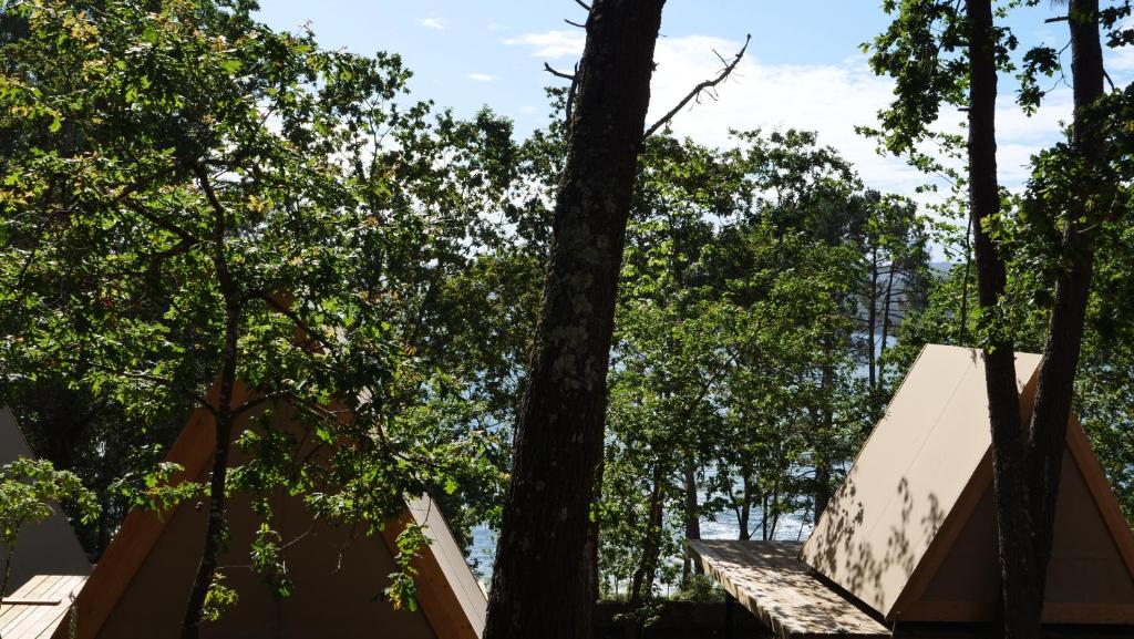 Zahrada ubytování Amaraxe Ecoglamping