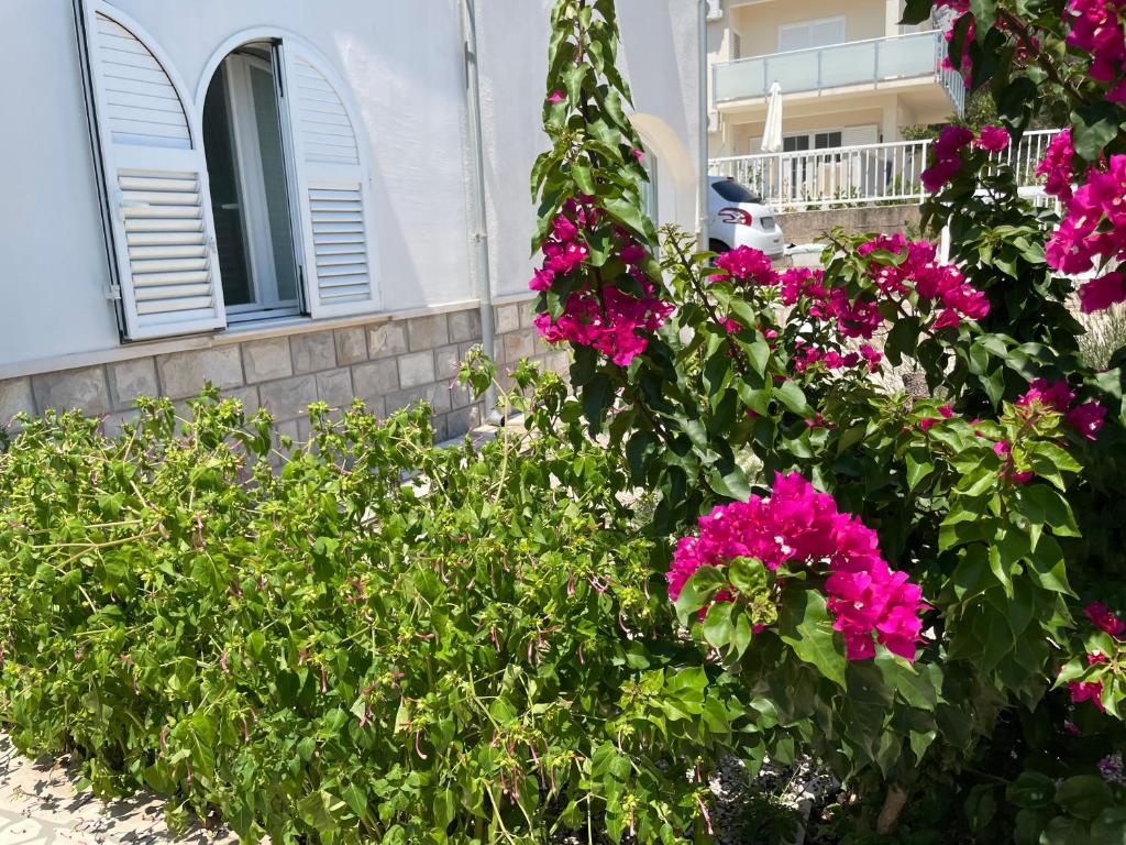 Vonkajšia záhrada v ubytovaní Melita Apartements