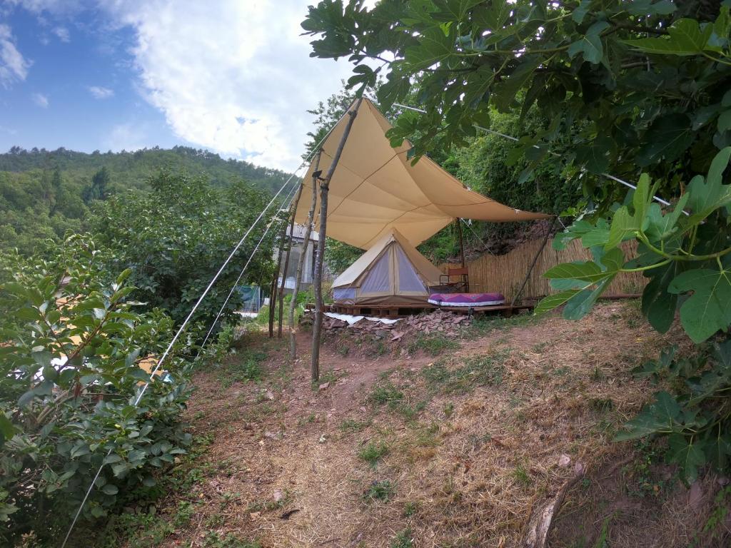 Příroda nedaleko luxury tent