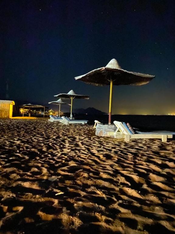 Nuweiba – Photos 4